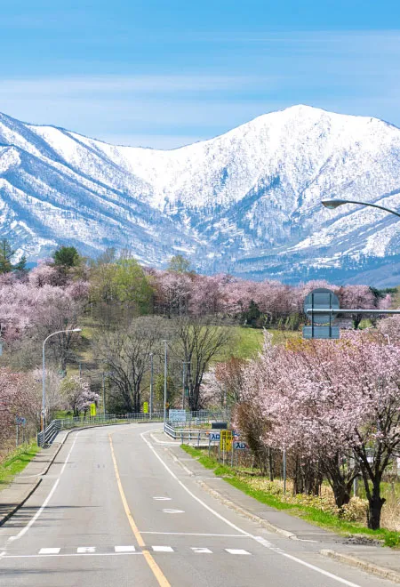 清水町の日高山脈風景